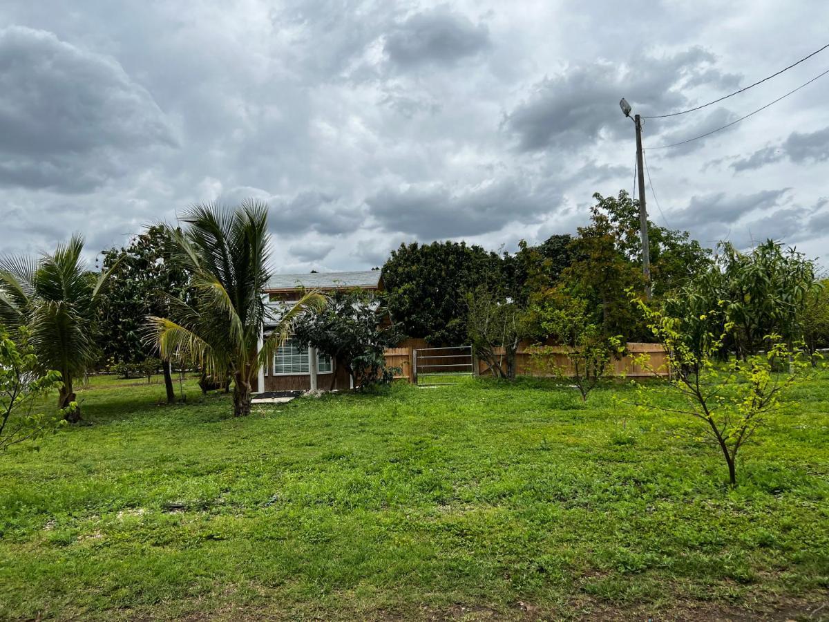 Maria'S Tiny Barn Homestead Exterior foto