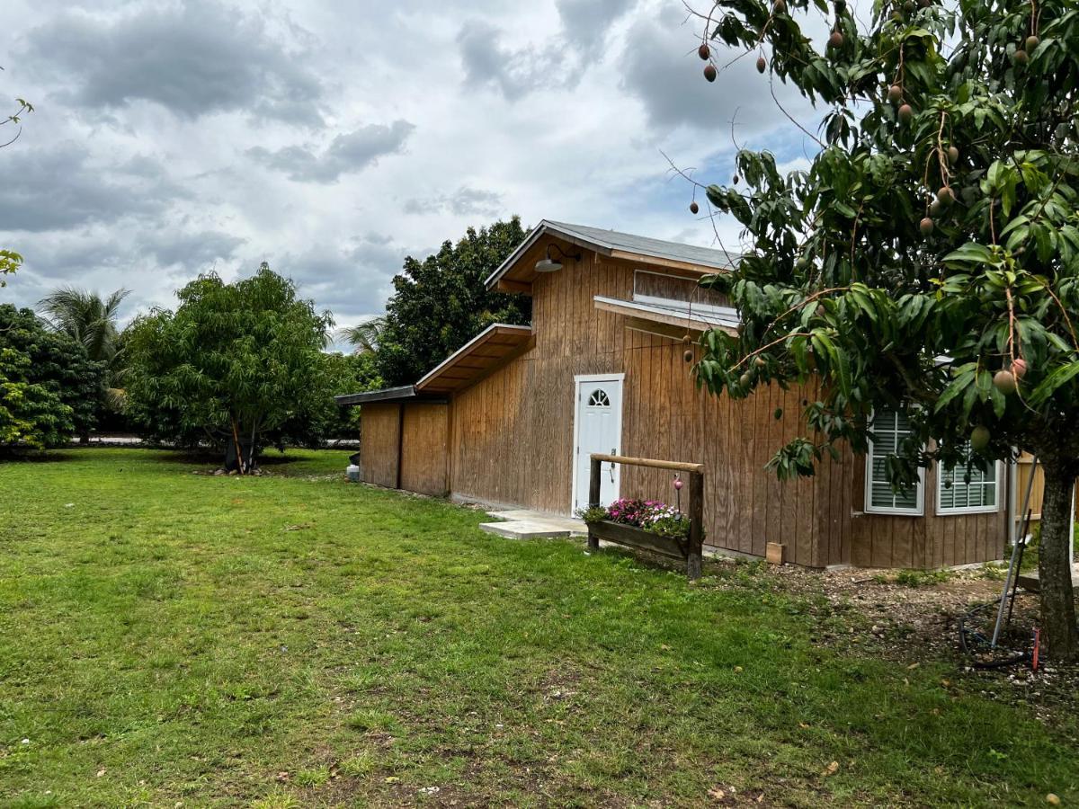 Maria'S Tiny Barn Homestead Exterior foto